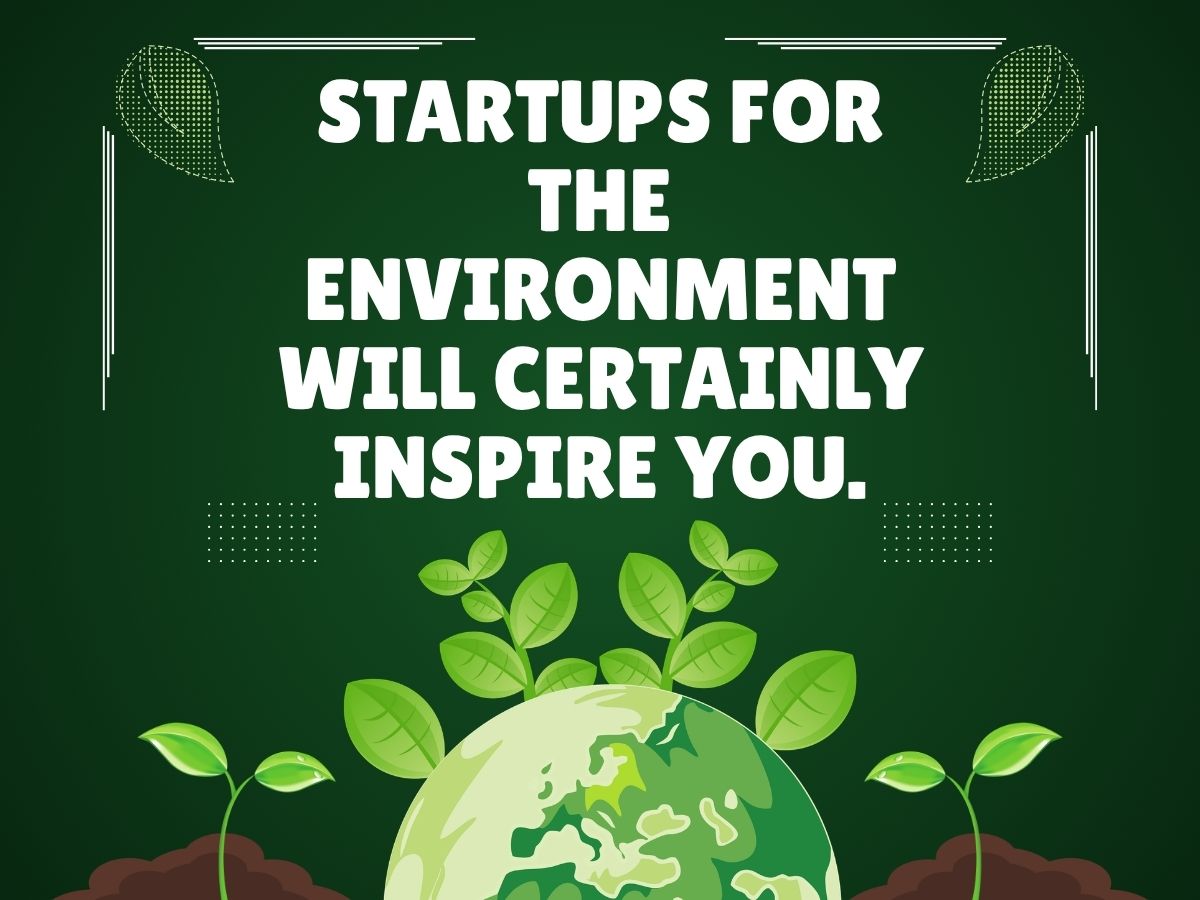 Startups for the Environment Will Certainly Inspire You. Here’s How!